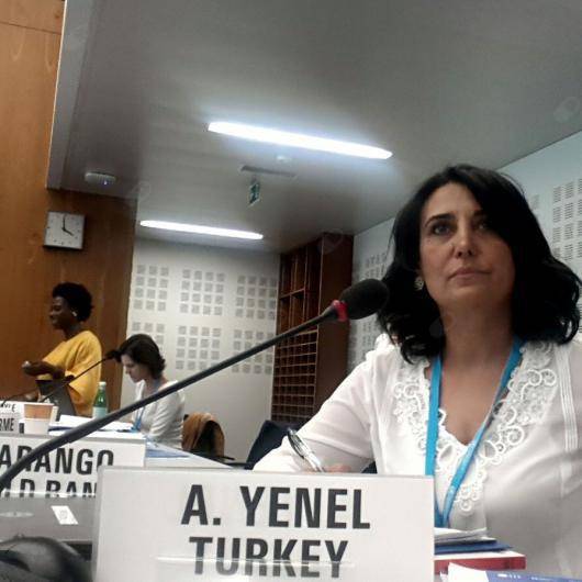 Psikiyatri Uzm. Dr. Aynil Yenel